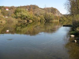 Berounka 2 - Zadní Třebáň 21.10.08 (2).jpg